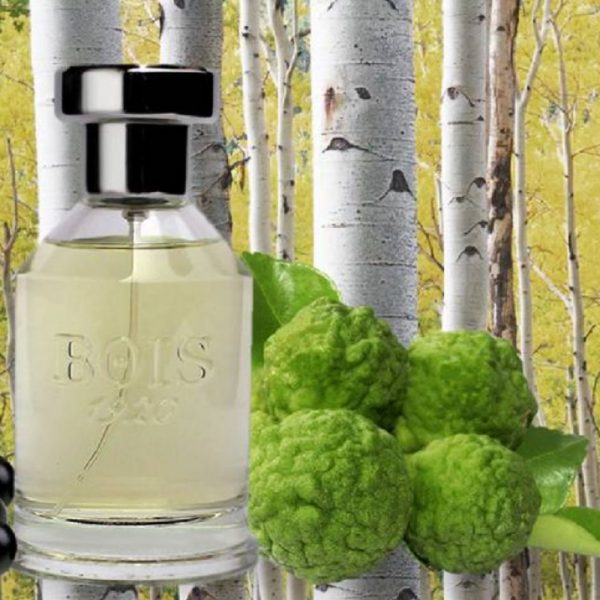 BOIS 1920 PARANA' 50ML - Profumo - BOIS 1920
